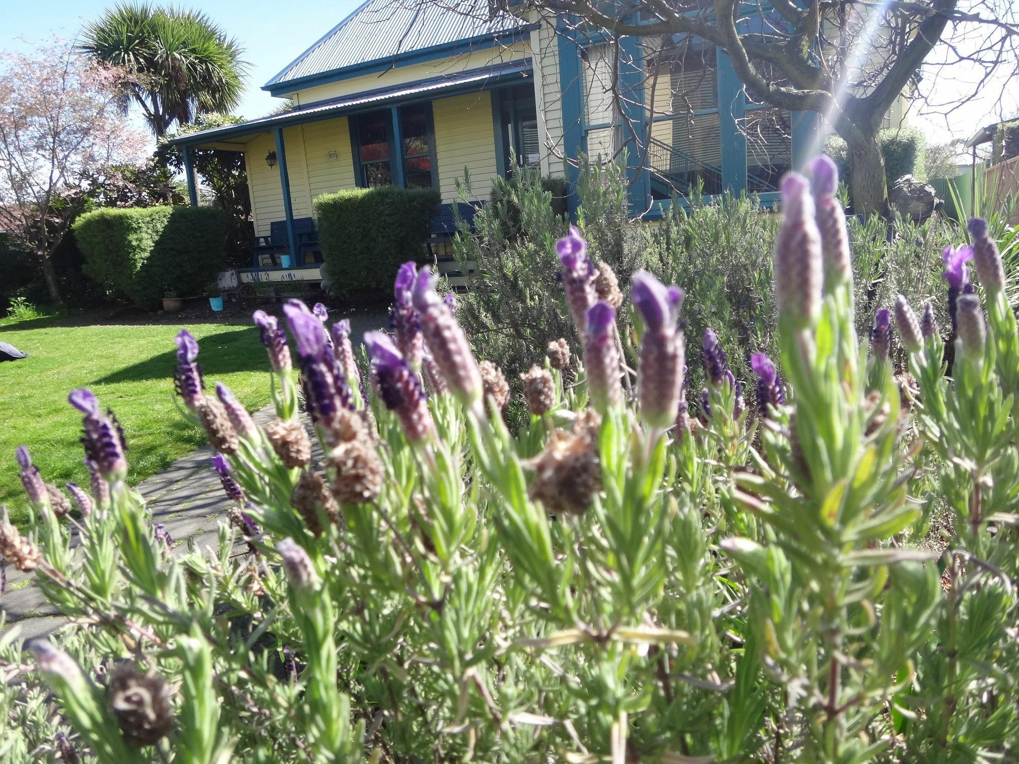 The Old Countryhouse Christchurch Luaran gambar